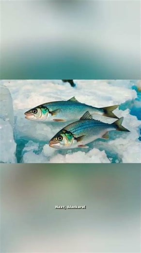 Richest natural sources of vitamin D ☀️(very high absorption)