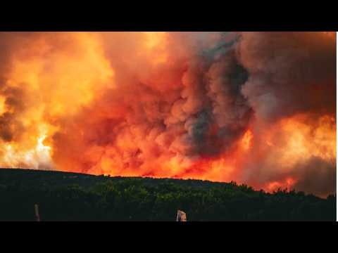 🚨 Ross Fire Explodes in North Texas: 90,000 Acres Burned & 157 Structures Destroyed & Animals Killed
