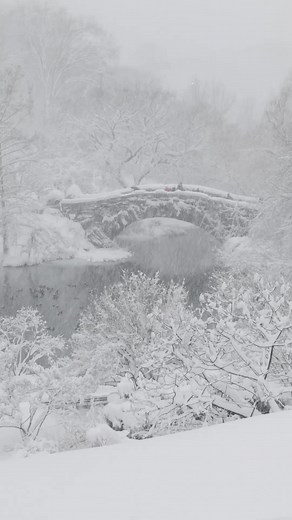Take in the sublime beauty of Central Park after a blizzard. 🤩 So far, we’ve measured over 19 inches of snow here in the Park! A huge shout-out to the #CentralParkConservancy team for rising the occasion last night, today, and this entire snowy winter. Stay warm and safe as you enjoy the snow in the Park, and please respect fences and closed-off areas for safety. #CentralPark #NYC #blizzard2026