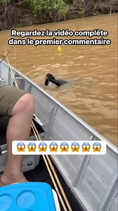 23K views · 75 reactions | Un monstre inconnu a attaqué des gens depuis l’eau ! Prise par accident en photo… Il faut le voir ! | Très Intéressant | Facebook