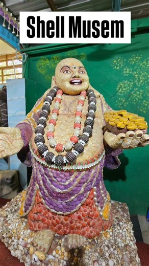 🇦‌🇰‌🇦‌🇷‌🇸‌🇭‌ on Instagram: "Shell Museum is a fascinating showcase of rare sea shells, corals, and marine artifacts collected from oceans around the world. With intricate natural patterns, vibrant colors, and unique displays, it’s a hidden gem for ocean lovers, kids, and anyone curious about marine biodiversity and coastal wonders. #ShellMuseum #SeaShellMuseum #ShellCollection #MarineMuseum #OceanTreasures #SeaShells #MarineLifeIndia #OceanLoversIndia #ExploreMuseums #HiddenGemsIndia #Natu