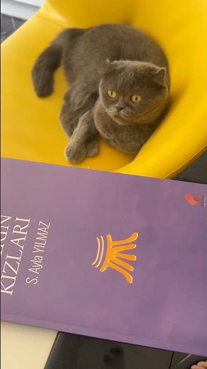 Xxxxxxxx