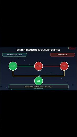 Single Feedback System