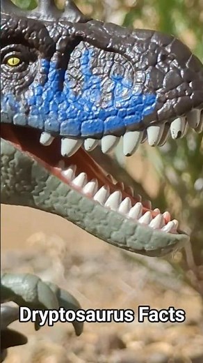 Dryptosaurus Facts
