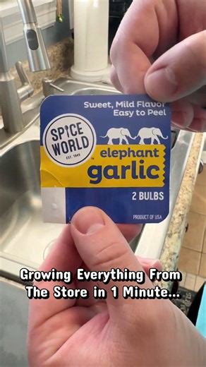 🌱🥭 I TURN GROCERY STORE FOOD INTO AN ENTIRE GARDEN! 🤯🌴 What if your next trip to the grocery store could turn into a backyard full of incredible plants?! 👀🔥 From GIANT elephant garlic 🧄 to tropical MANGO TREES 🥭 to exotic DRAGON FRUIT CACTI 🐉🌵… I’m showing you how I turn everyday grocery store finds into living, growing plants! And here’s the crazy part… you don’t have to live in a tropical paradise to experiment with growing some of the world’s most incredible fruits! 🌎🌿 I’ve spent 