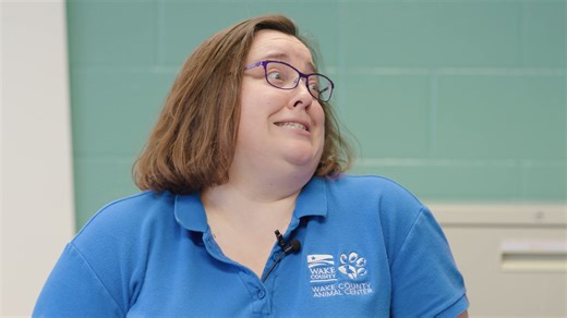 3.5K views · 74 reactions | June is National Adopt a Shelter Cat...