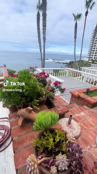 Baja listings realty on TikTok