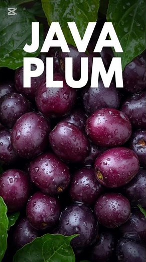 Top 5 Amazing Fruits That Start With J 🍈 | Fun Facts You Never Knew!📝