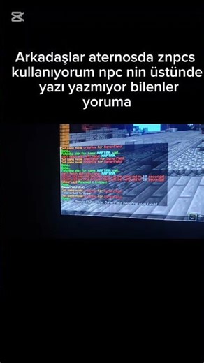 aternosda znpcs de npc nin üstünde ad gözükmüyor