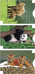 Monarque RFID Blocking Credit Card Sleeves, Set of 6 (Endangered Species)