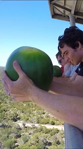 279K views · 778 reactions | Watermelons Vs. Car!  | How Ridiculous | Facebook