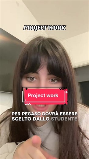 Understanding Project Work in Distance Education