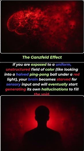 Your Brain Will Hallucinate in Silence 😵‍💫 | The Ganzfeld Effect Explained #facts #shorts #ytshort