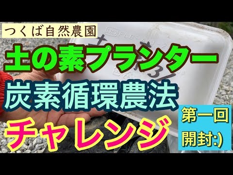 つくば自然農園土の素炭素循環農法チャレンジ第一回開封