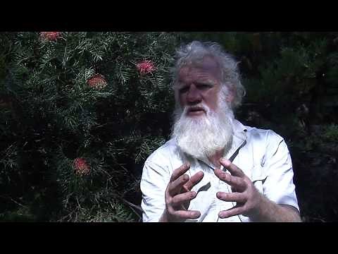 Aboriginal Agriculture for a Sustainable Australia