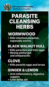 3.7K views · 1.3K reactions | The 4 Most Powerful Herbs for Parasite...