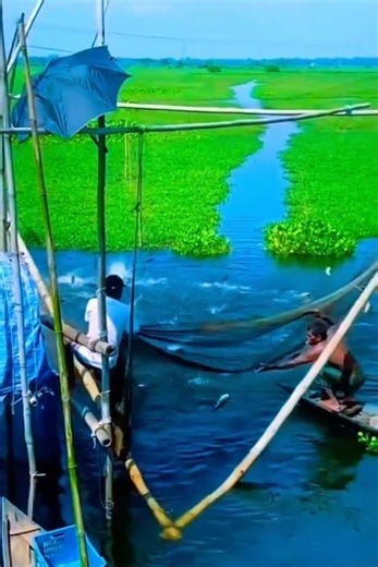 Watercolour Light Blue#nature#travel#shorts