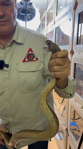 79K views · 353 reactions |  Want to know what happens to this...