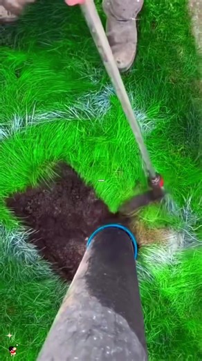 NBA Highlights and Insights: A Deep Dive into 2023