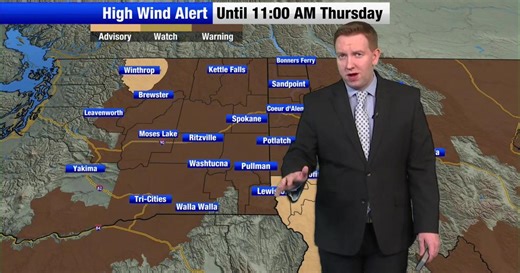 Weather Alert: High wind gusts