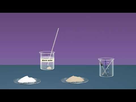Reproduction in Yeast Cell