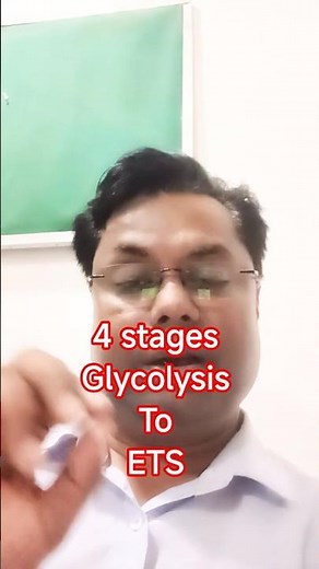 4 Stages of Cellular Respiration Explained | Glycolysis to ETS | Class 11 Biology