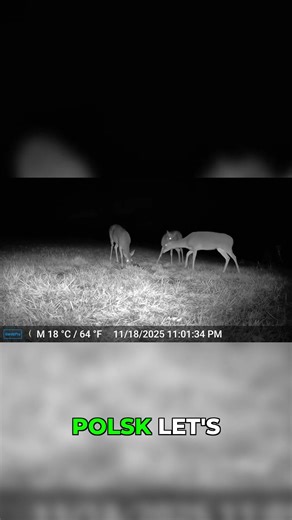 Whee! High-Energy Names & Let's Go Action!