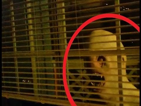 ALIEN/RAKE CREATURE FILMED IN COSTA RICA