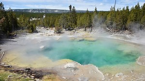 Man falls into Yellowstone hot spring