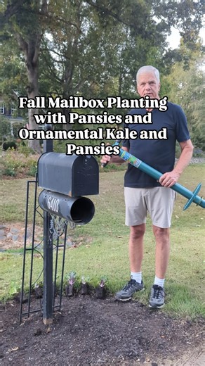 Bill planted ornamental kale and pansies around our mailbox the other evening. We were fortunate enough to find one cell pack of kale which was a perfect pairing for the blue and white pansies @loweshomeimprovement . The ProPlugger allows you to dig the perfect size planting holes, all from a comfortable standing position! Step, twist, pull and you're ready to plant! Soil collects in the tube as you work and empties from the top. Digs 2", 4" and 6" deep holes. Depth rings included. Create larger