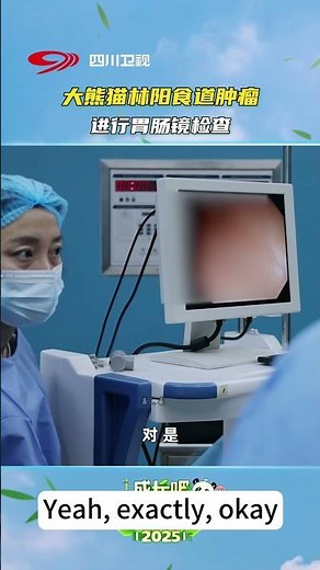 Giant panda Lin Yang getting a GI scope for an esophageal tumor 🐼💉