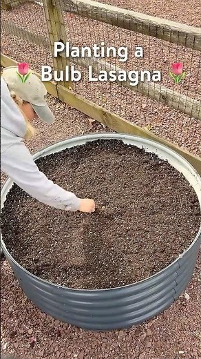 Planting a Bulb Lasanga | Burpee Seeds, Plants and Supplies