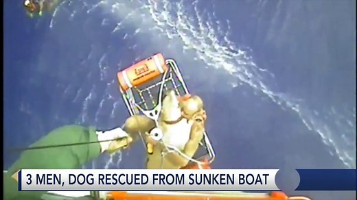 Watch: Coast Guard rescues three men, dog from sinking boat