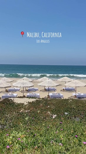 Pop-up beachside daybeds in LA all Summer long!! 🤩 #fyp #losangeles #santamonica #malibu #malibubeach #santamonicabeach #thingstodoinla