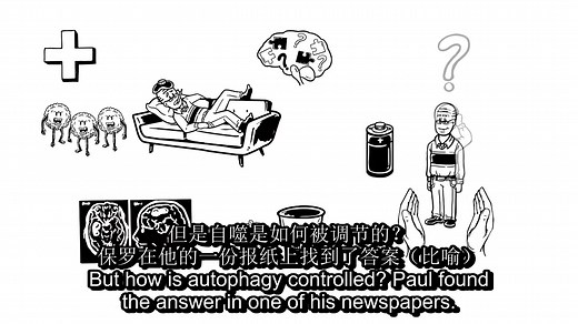 初中生也能看懂的细胞自噬（Autophagy）