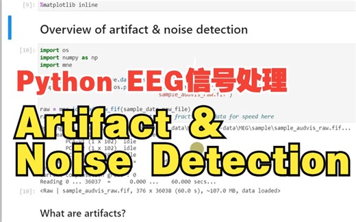 Python EEG信号处理 - Overview of artifact and noise detection