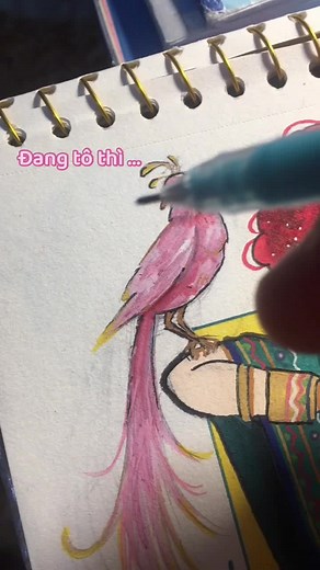 Tài khoản được đề xuất