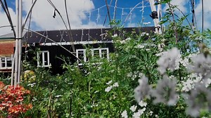 The Common Grocer provides the Lower Hutt community with access to affordable, plastic-free food 🥦 🍌 MSD is providing funding to The Common Unity Project Aotearoa to develop this model further to enable other communities to create their own food cooperatives. To find out more about the project, visit www.commonunityproject.org.nz | Ministry of Social Development NZ