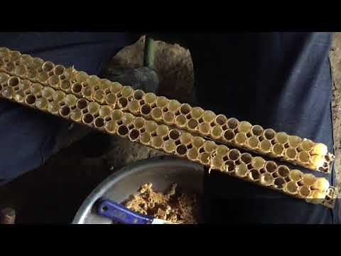 Royal Jelly collection in China