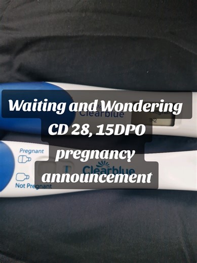 CD 28, 15DPO Update: Exciting Pregnancy News!