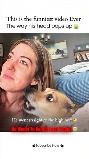 Audience watched more than 3 times || Pam Quinn x English Real Voice