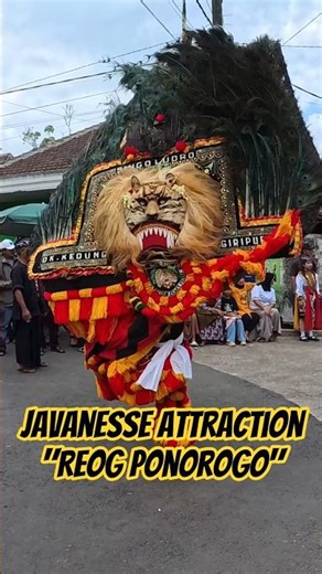 JAVANESSE ATTRACTION - REOG PONOROGO #culture #festival