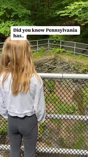 Yes, it is true. The largest glacial pothole in the world is indeed located in Pennsylvania. 🤯 Archbald Pothole State Park is a small park located in Northeastern PA, just north of Scranton, and is named for the Archbald Pothole, a geologic feature that formed around 15,000 years ago during the Wisconsin Glacial Period. The pothole was discovered in 1884 by a coal miner while extending a mine shaft. It is 38 feet deep. The largest diameter is 42 ft by 24 ft. We are hiking in all the state parks