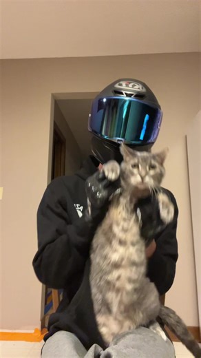 Another biker kitty cat duo he’s such a handsome kitty isn’t he? 🤭 #biker #kittycat #dancer #catsoftiktok #kitty
