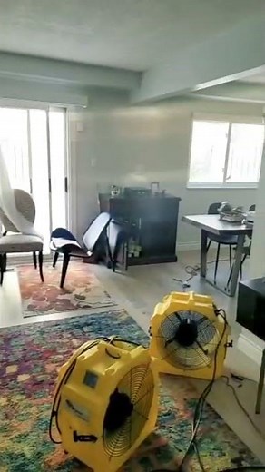 Get Rid of Bed Bugs! DIY versus Heat Treatment