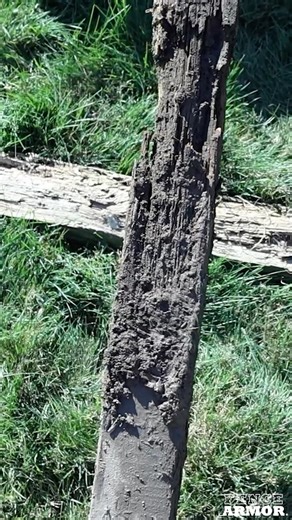 Where Fence Rot Actually Starts