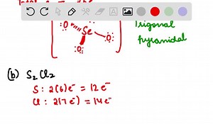 Write the Lewis structure for each of the following species, and indicate the structure of each: (a) SeO3 ^2- ; (b) S2 Cl2 ;(c) chlorosulfonic acid, HSO3 Cl (chlorine is bonded to sulfur). | Numerade