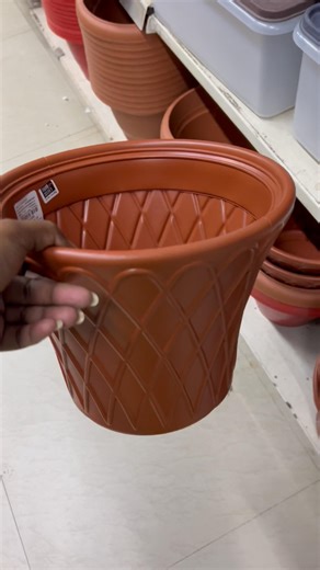 Pots price comparison and planter shopping haul #divinegarden98 #planter #shortsvideo