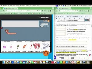 Digestive System Gizmo Instructional Video