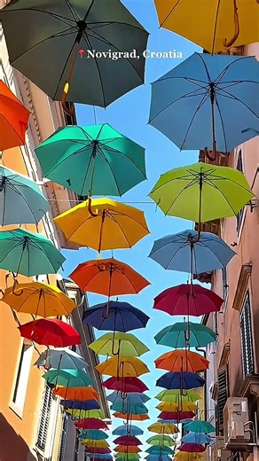 Novigrad an ancient port town in Istria that still holds traces of Roman history and medieval charm.